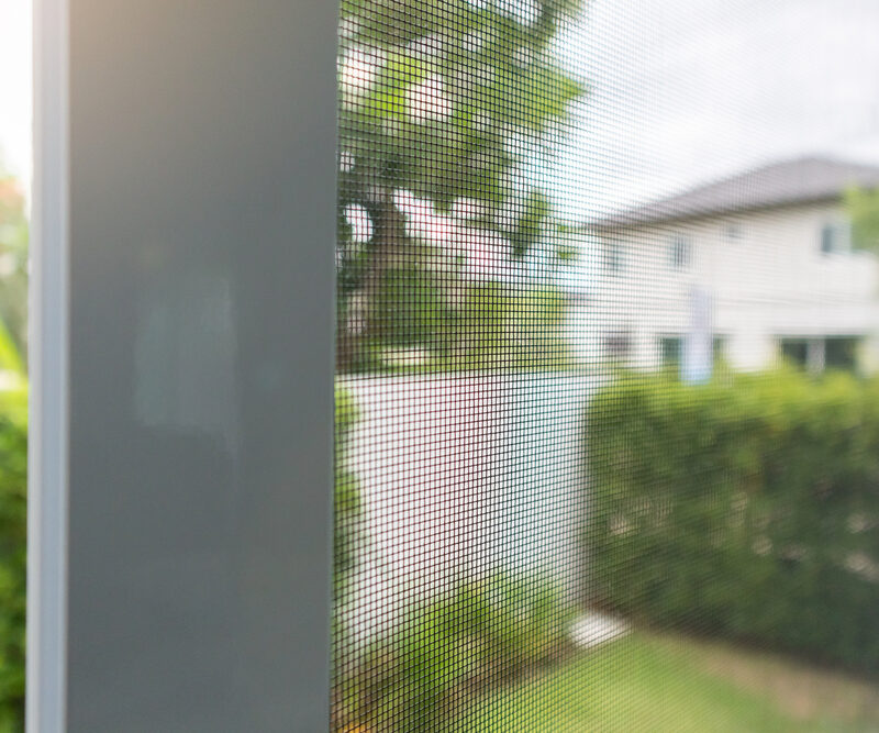 Mosquito,Net,Wire,Screen,On,House,Window,Protection,Against,Insect